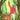 Illustrated tarot card 'I The Magician' showing a figure in a pink robe standing in a forest beside a tree stump with a sword, wand, cup, and planetary symbols, with the card title at the bottom.