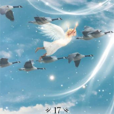 Angels of Nature Oracle Cards – 44 Card Deck & Guidebook - Sandra Anne Taylor