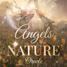 Front cover of the 'Angels of Nature Oracle' card deck and guidebook by Sandra Anne Taylor, featuring an illustration of a winged angel standing among deer in a glowing natural landscape.
