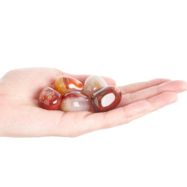 Carnelian Tumblestone – 2 Sizes - Healing Crystal - Creativity, Motivation & Confidence
