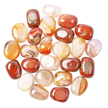 Carnelian Tumblestone – 2 Sizes - Healing Crystal - Creativity, Motivation & Confidence