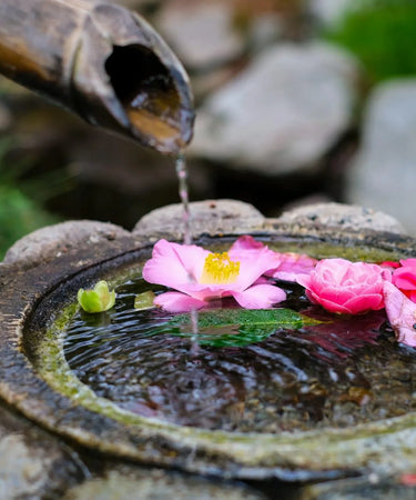 iStock-1220803804 - Sacred Essence