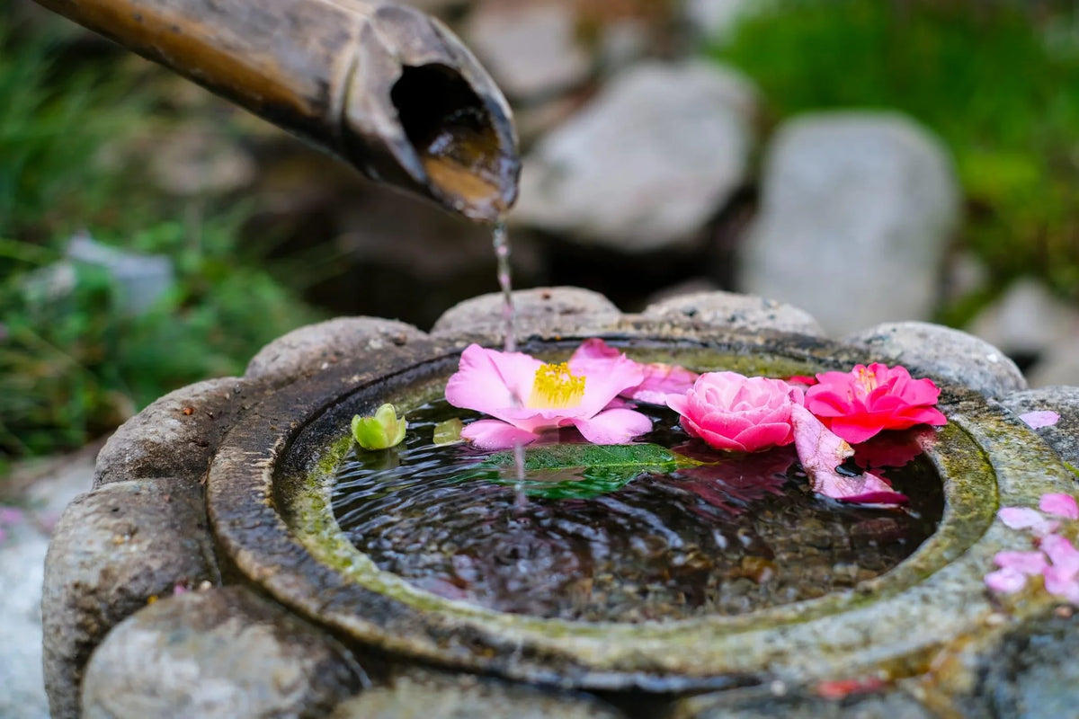 iStock-1220803804 - Sacred Essence