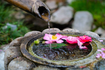 iStock-1220803804 - Sacred Essence