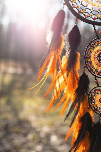 iStock-1386885415 - Sacred Essence