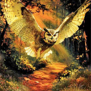 A book or album cover featuring a large owl with spread wings flying over a glowing forest path. The word 'TRUTH' appears at the top and 'OWL' at the bottom, with a small yellow circle marked '12' in the upper right.